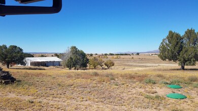 3550 W Spring Trail, Paulden, AZ 86334 - photo 3