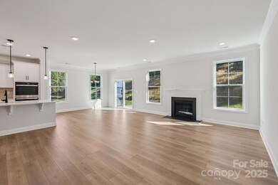 109 Asmodean Ln, Troutman, NC 28166 - photo 6