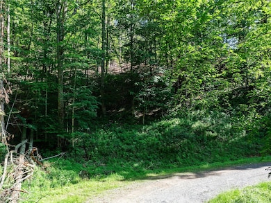 0 Chestnut Ln unit Lot 84, Mars Hill, NC 28754 - photo 5