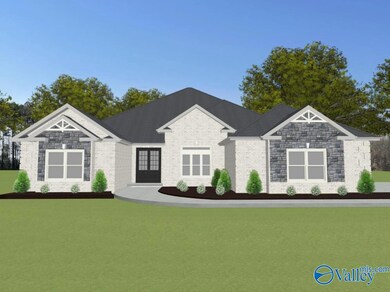 Trenton - C1 Newby Chapel Rd, Athens, AL 35613 - photo 3