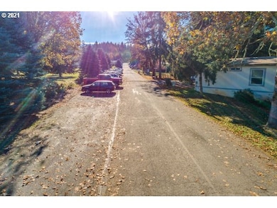 35556 S Aqua Springs Rd, Molalla, OR 97038 - photo 7