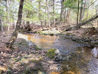 Bacon Brook