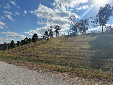 Tract 3 S 595 Rd, Grove, OK 74344 - photo 3