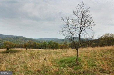 0 Twin Oaks Dr unit 1003968414, Mathias, WV 26812 - photo 2