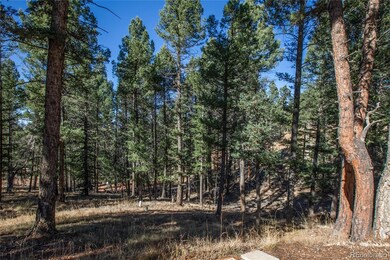 441 Paint Pony Ln, Florissant, CO 80816 - photo 6