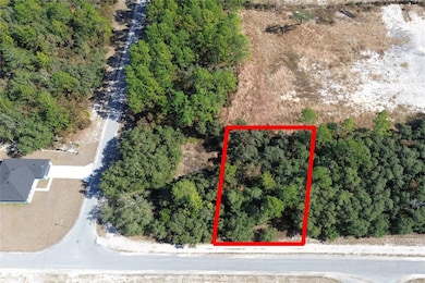 Lot 11 SW 72nd Terrace, Ocala, FL 34473 - photo 4