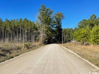 View of dirt / gravel road featuring a wooded view