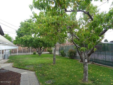 Backyard with fruit trees