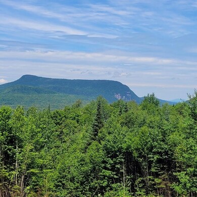 Off Rocky Rd, Newark, VT 05871 - photo 3