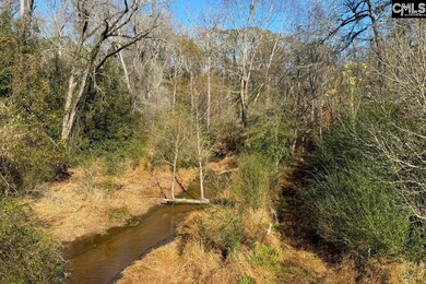 0 Whisphering Pines Rd, Ridge Spring, SC 29129 - photo 5