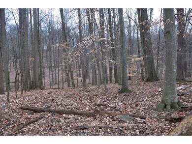 Privacy Wooded Road Front