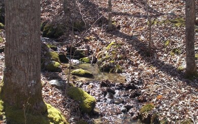Additional View