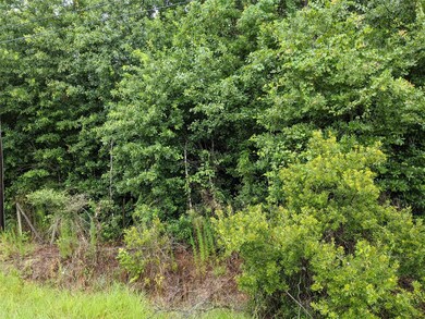 25153 Blackburn Dr, Splendora, TX 77372 - photo 3