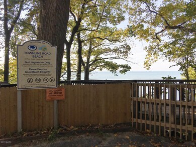 10111 Town Line Ave, Union Pier, MI 49129 - photo 5