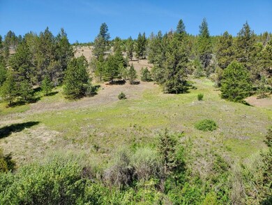 0 Wiley Creek Rd unit 2406 220202660, Mount Vernon, OR 97865 - photo 5