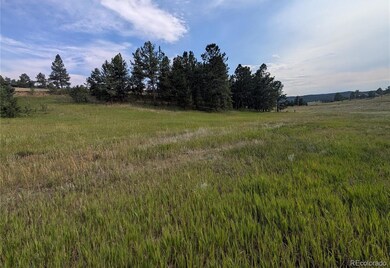1379 S Mountain Estates Rd, Florissant, CO 80816 - photo 5