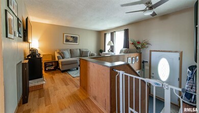 220 Heritage Ave, Lincoln, IL 62656 - photo 3