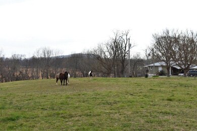 4646 Rickman Rd, Cookeville, TN 38506 - photo 3