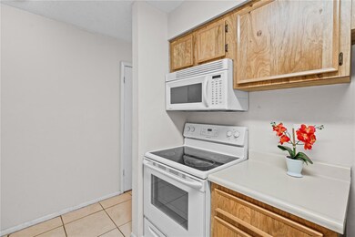 4003 Nestle Oaks Place unit 204, Tampa, FL 33613 - photo 5