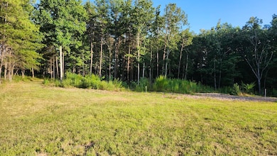 705 Crockett Loop, Jasper, TN 37374 - photo 3