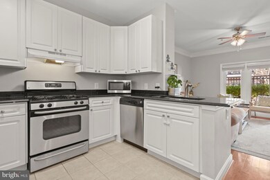 The Fitz at Rockville Town Center, Rockville, MD 20850 - photo 7