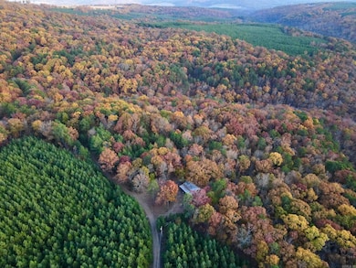 000 Cr 212, Clinton, AR 72031 - photo 3