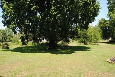 DSC_0301 (640x428)