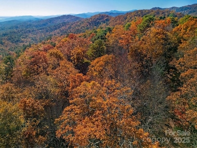 TBD Old Toxaway Rd, Brevard, NC 28712 - photo 2