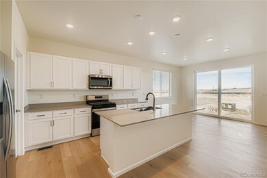 4183 Runyon Lake St, Brighton, CO 80601 - photo 5