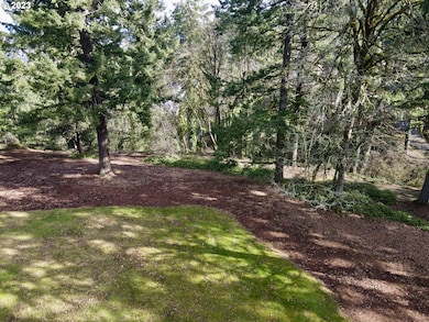 1384 Celtic Ct, Westlinn, OR 97068 - photo 2