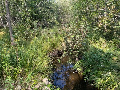 Creek
