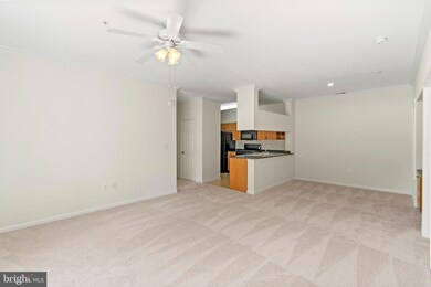 13500 Derry Glen Ct unit 102, Germantown, MD 20874 - photo 4