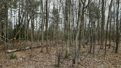 20210419_115650_resized