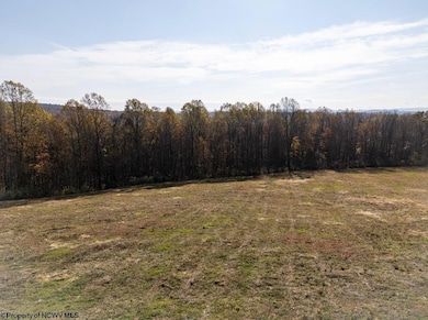 TBD N Preston Hwy, Bruceton Mills, WV 26525 - photo 4