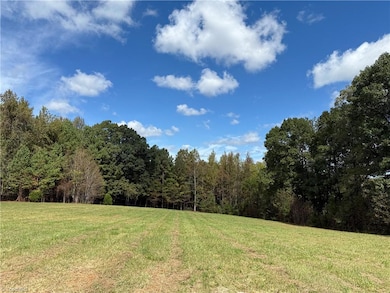 469 Zeb Ferguson Rd, Siler City, NC 27344 - photo 5