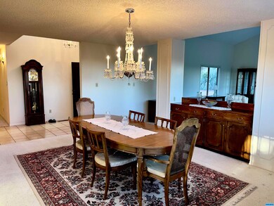 4593 N Shadow Mountain Rd unit 3, Silver City, NM 88061 - photo 4