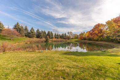 MLS3_adjacent_pond
