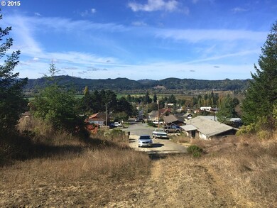 0 Tax Id 1142402 unit 15307318, Myrtle Point, OR 97458 - photo 3