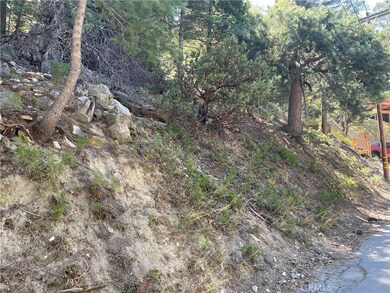 28 Forest Ln, Twin Peaks, CA 92391 - photo 5