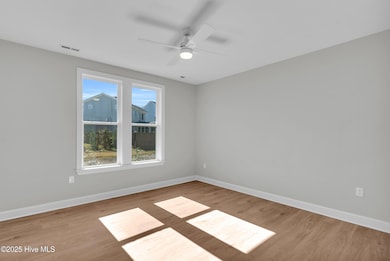 14_3163 painted turtle lp-00014