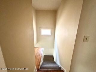 1306 Marion St, Scranton, PA 18509 - photo 7