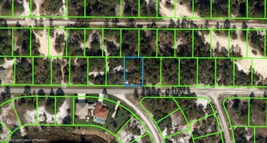 384 Sunshine Ave, Lake Placid, FL 33852 - photo 2