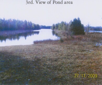 3rd view of Pond area