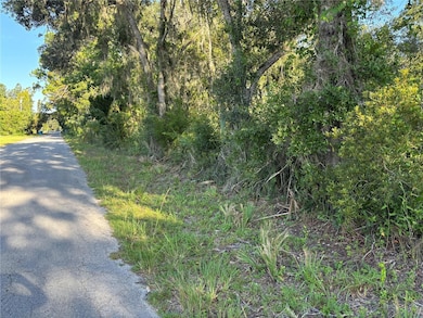 0 NE Highway 351, Cross City, FL - photo 3