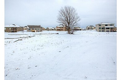 Yard/Garden.