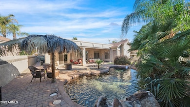 Backyard Oasis