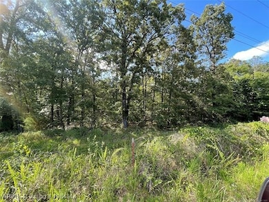 466305 E 931 Rd, Bunch, OK 74955 - photo 4