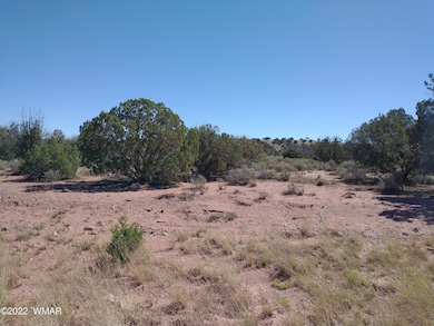 4253 Indian Bend Rd, Snowflake, AZ 85937 - photo 2