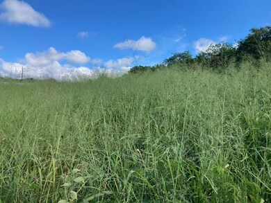 94-6374 Pele St, Naalehu, HI 96772 - photo 4