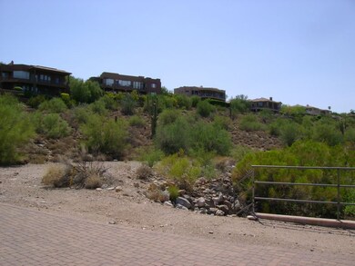 Landscape from driveway